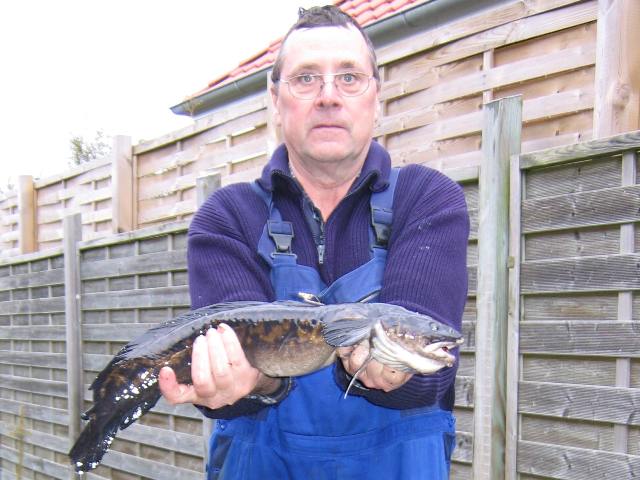 20060417.jpg