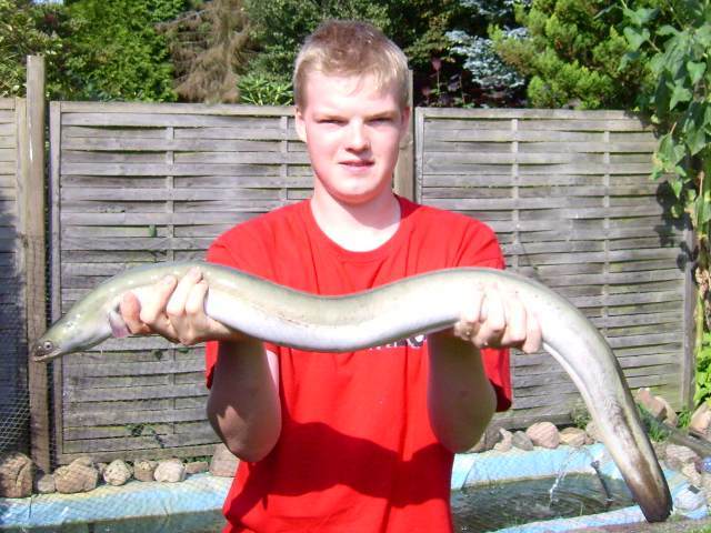 20061205.jpg
