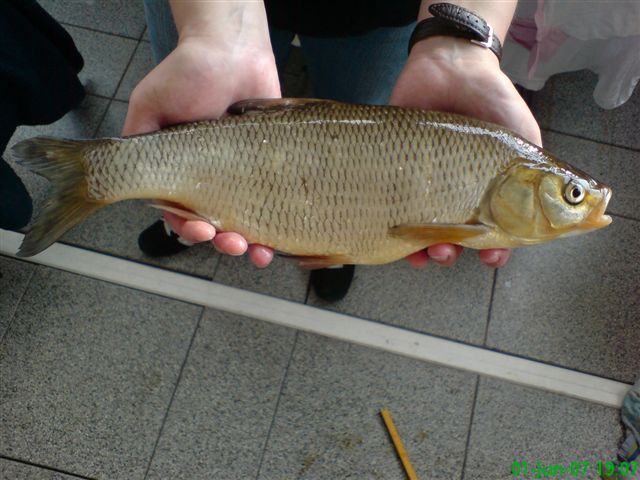 20070601.jpg