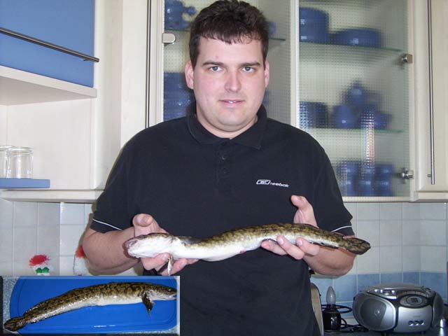 20080508.jpg