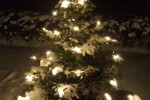 20091222_thumb.jpg