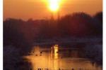 20111224_thumb.jpg