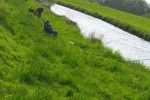 20120501-2_thumb.jpg