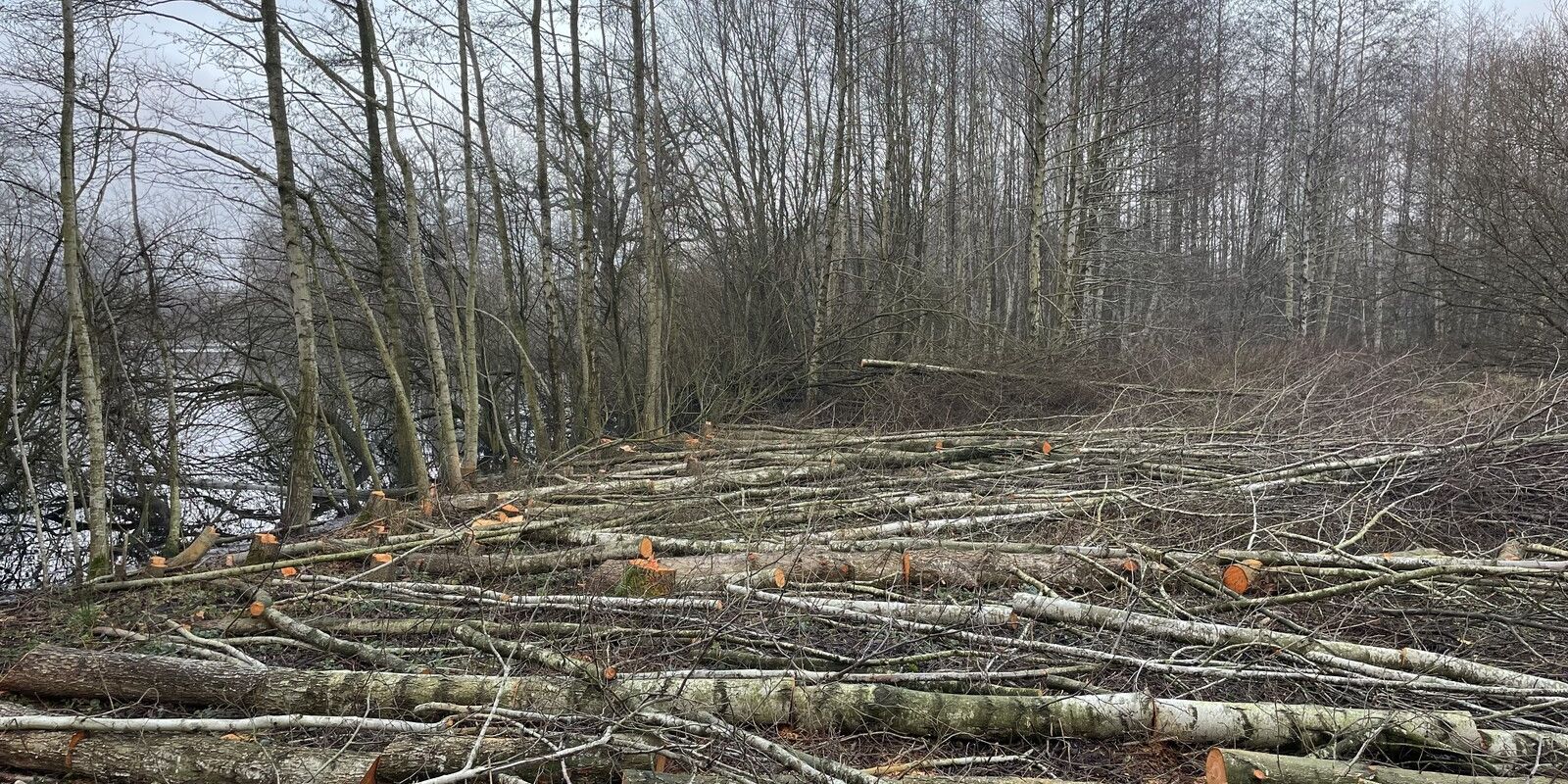 Arbeitsdienst am 4. Januar am Untersten Weg