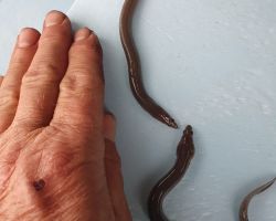 photo 2024 05 03 18 48