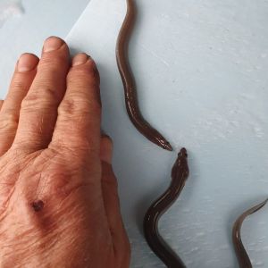 photo 2024 05 03 18 48