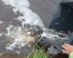 photo 2024 05 03 19 44