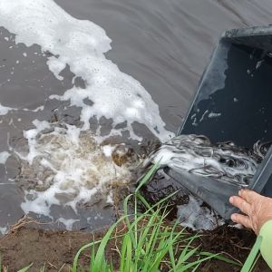 photo 2024 05 03 19 44