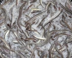 photo 2024 05 03 19 44 41  