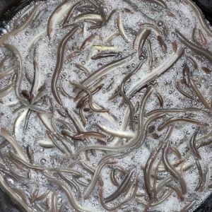 photo 2024 05 03 19 44 41  