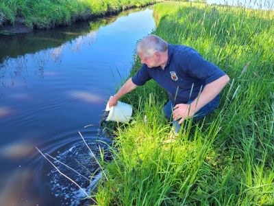 Aalbesatz 09.05.2026