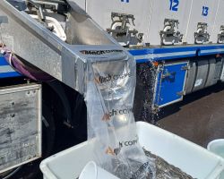 foto 10.05.25  16 43