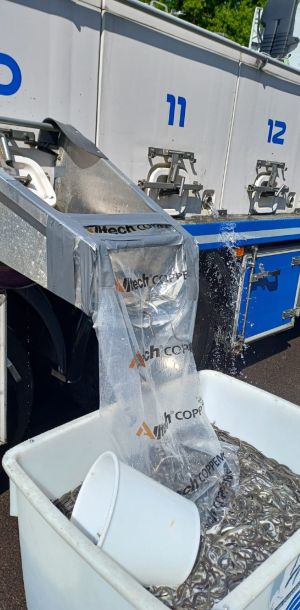 foto 10.05.25  16 43