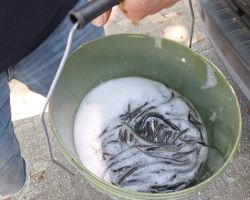 foto 10.05.25  16 43 09  