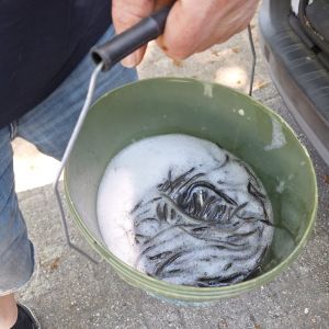 foto 10.05.25  16 43 09  