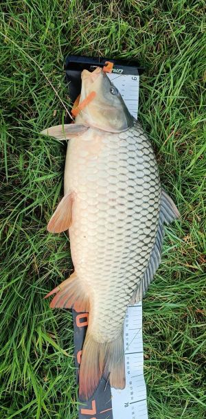 foto 13.09.26  14 11
