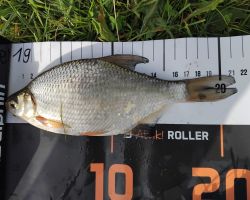 foto 14.09.25  17 01 50  