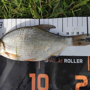 foto 14.09.25  17 01 50  