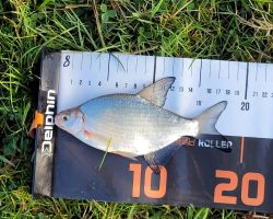 foto 14.09.25  17 01 50  