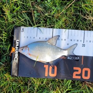 foto 14.09.25  17 01 50  