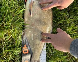 foto 14.09.25  17 01 50  