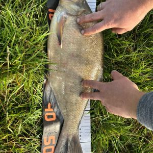 foto 14.09.25  17 01 50  