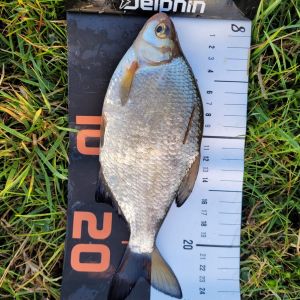 foto 14.09.25  17 01