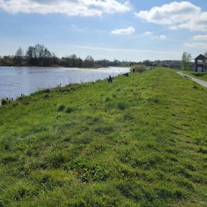foto 26.04.26  16 50 30  