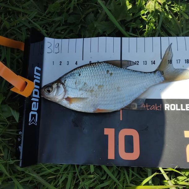 photo 2026 05 17 11 34
