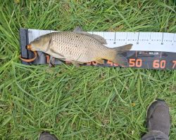 photo 2026 05 17 11 35