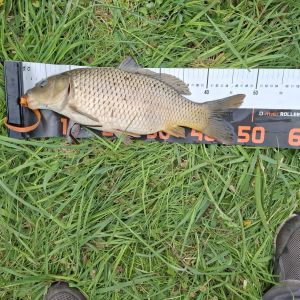 photo 2026 05 17 11 35