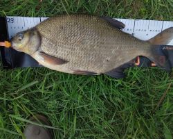 photo 2026 05 17 11 36