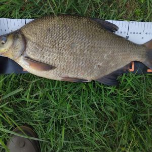 photo 2026 05 17 11 36