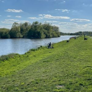 foto 26.04.25  17 33