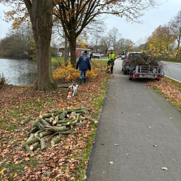 foto 16.11.24  11 59