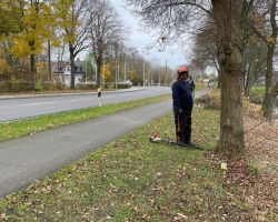 foto 16.11.24  13 14