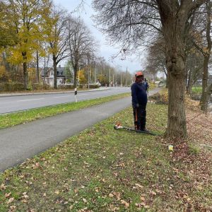 foto 16.11.24  13 14