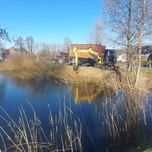 photo 2025 02 19 18 52