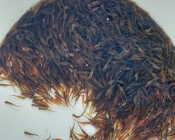 foto 06.03.26 5 39 28  