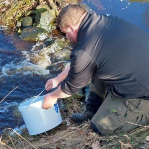 foto 06.03.26  15 399  