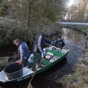 foto 22.11.25  15 39