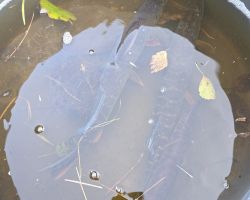 foto2.11.25  15 39 48  