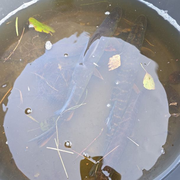 foto2.11.25  15 39 48  