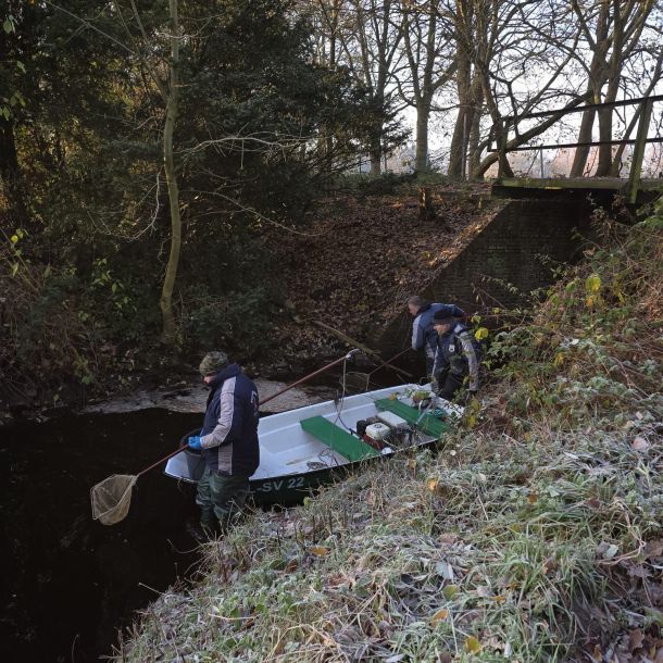 foto 22.11.25  15 398  