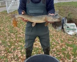 foto 23.11.25  15 22