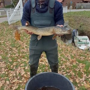 foto 23.11.25  15 22