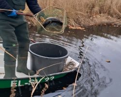 foto 23.11.25 5 30 39  