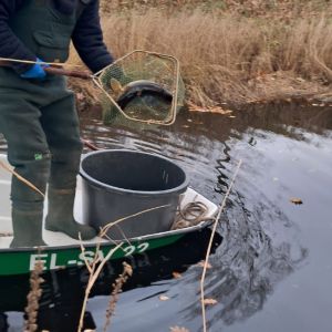 foto 23.11.25 5 30 39  