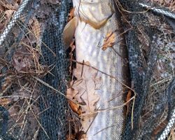 foto 23.11.25  15 30