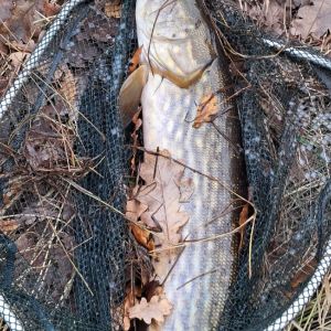 foto 23.11.25  15 30